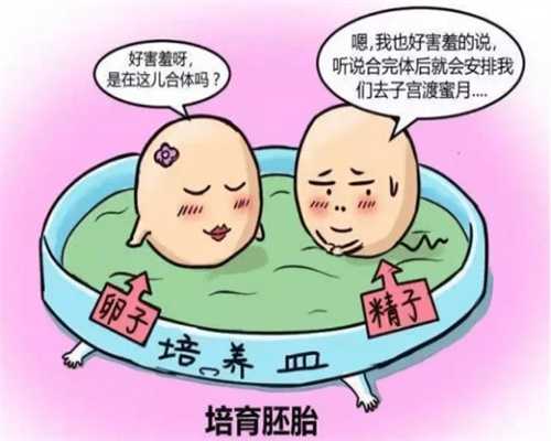 广州供卵生子多少钱，广州看精子不液化花多少钱