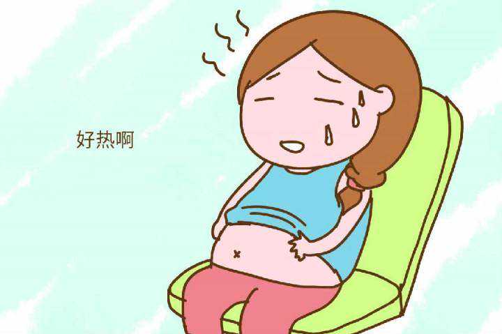 广州供卵十月,供卵十月怀胎孕育