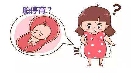 广州供卵助孕机构（供卵试管助孕机构）