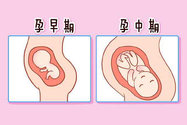 广州供卵试管代生，广州试管医院_广州可以做第三代试管婴儿的医院有哪些