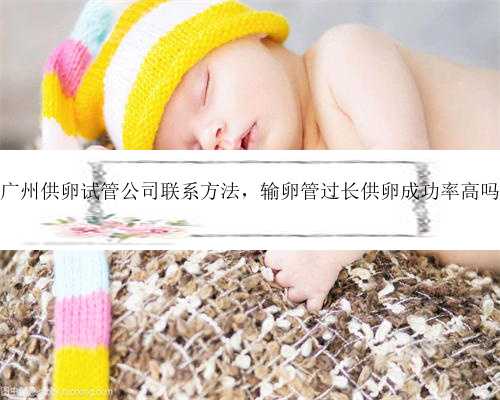 广州供卵试管公司联系方法，输卵管过长供卵成功率高吗